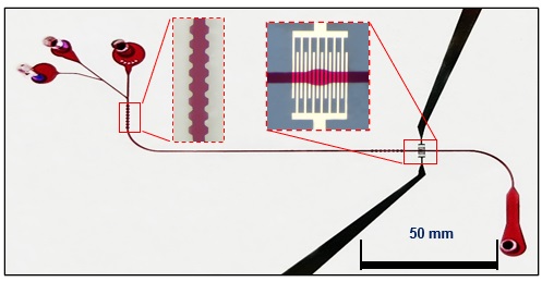 microfluidic merging